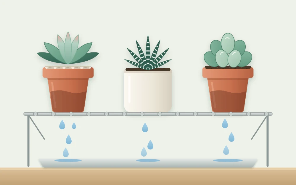 Three pots lifted out of a tray and draining on a wire rack, with drops falling beneath them
