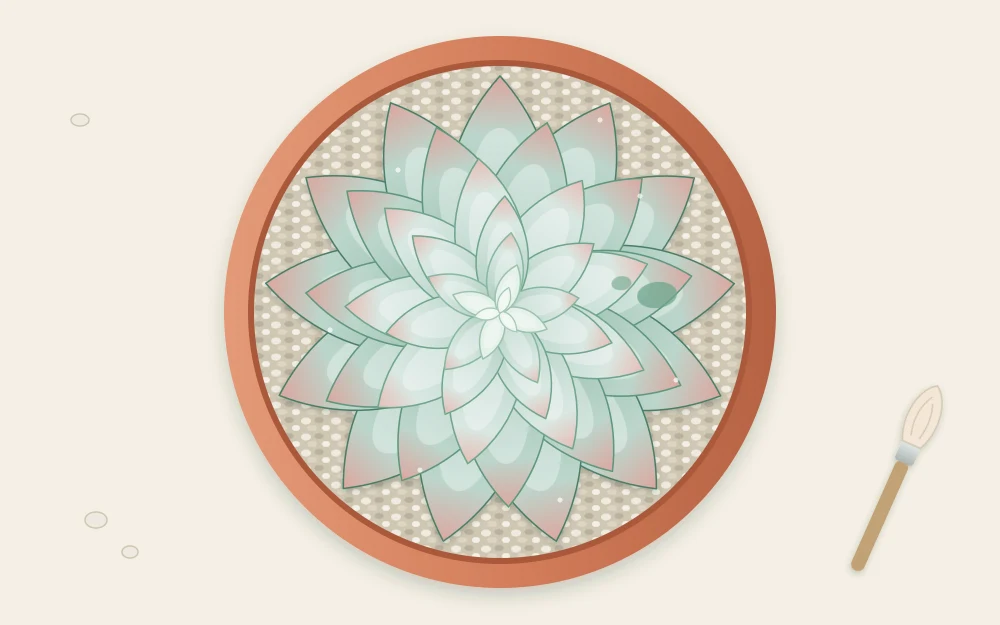 An echeveria rosette seen from directly above, showing a spiral of overlapping pointed leaves with a pale powdery coating