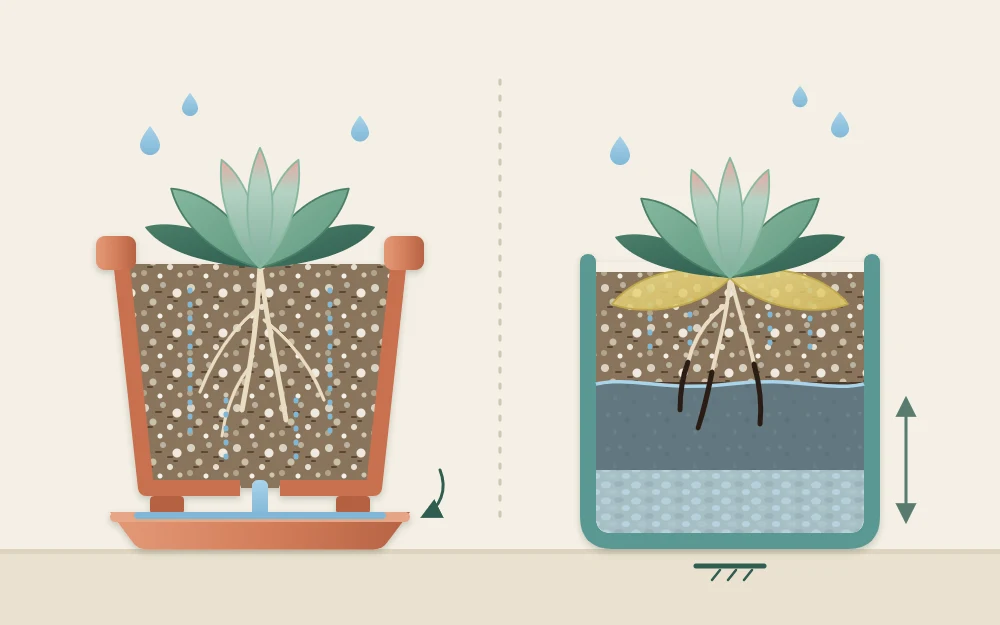 Cutaway of two containers: one with a drainage hole and water running out, one with no hole and gravel at the bottom with water pooled in the soil above