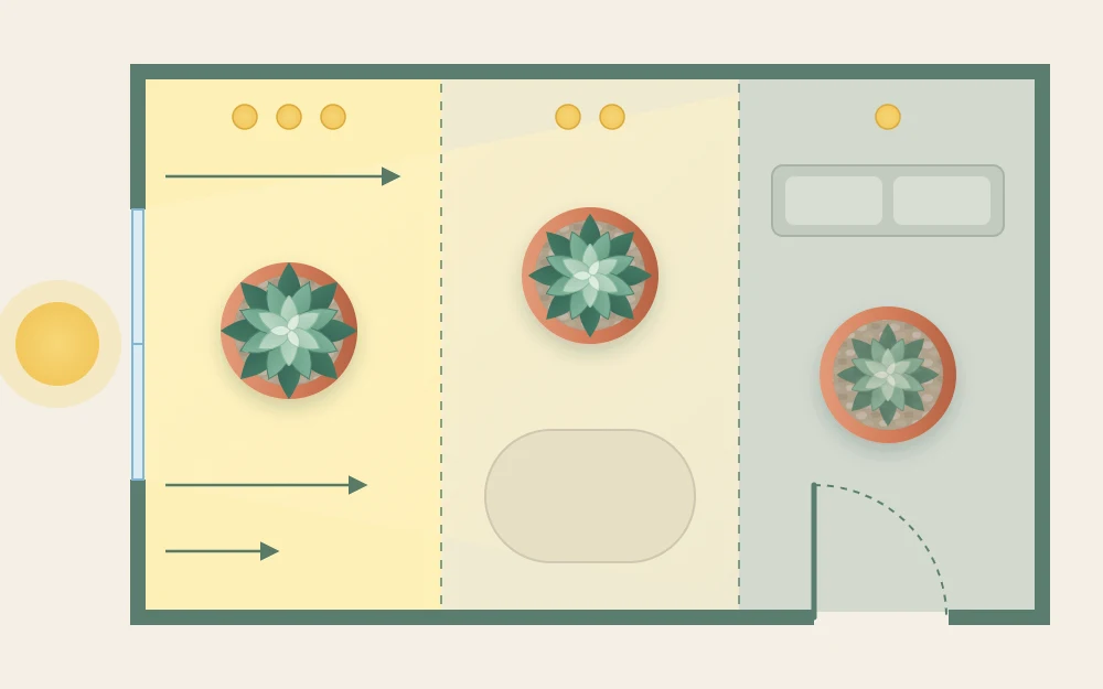 Top-down plan of a room with one window, three zones fading from bright to dim, a potted succulent in each