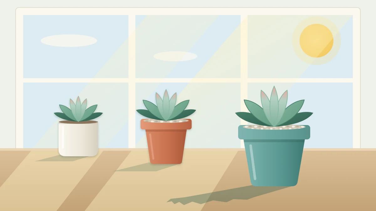 Sunbeams from a large window falling across a sill with three potted rosette succulents, the nearest casting a crisp shadow