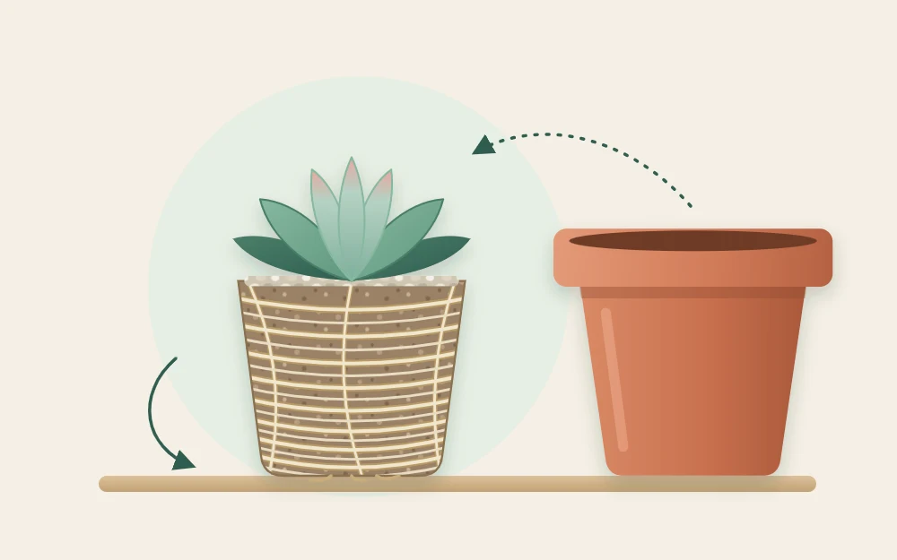 A root ball that kept the shape of its pot, with roots circling tightly around the outside